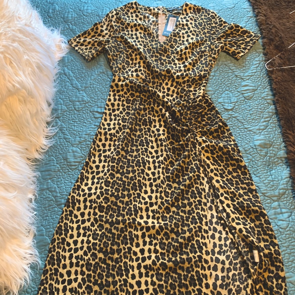 Nasty Gal Leopard Print Dress